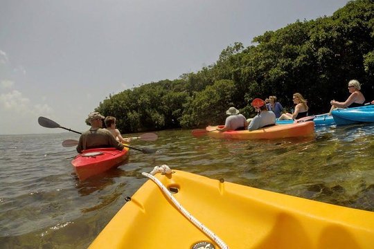Tour image 2