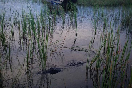 Tour image 4