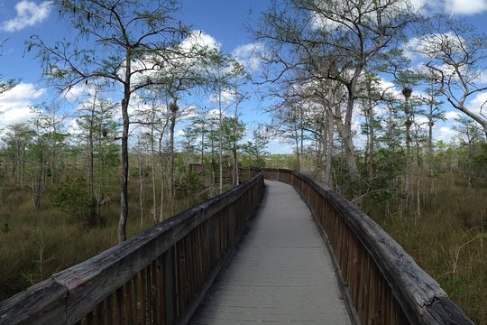 Tour image 7
