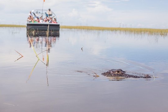 Tour image 1