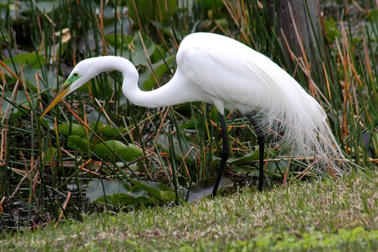 Tour image 10
