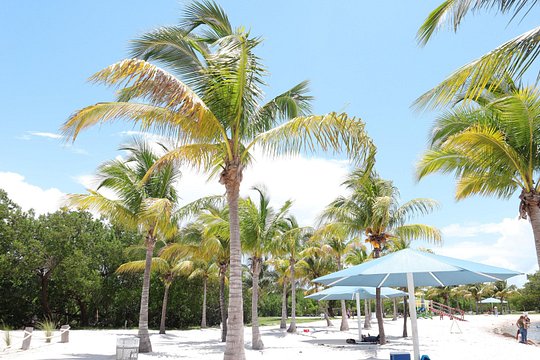 Tour image 6